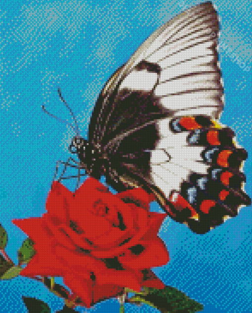 Butterfly On Red Rose Diamond Paintings