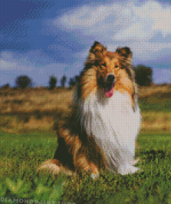 Cute Rough Collie Diamond Paintings