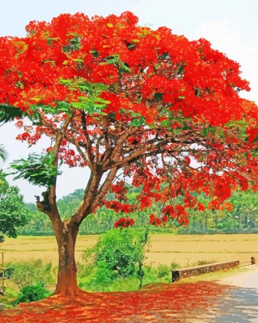 Flamboyant Tree Diamond Paintings