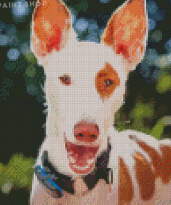 Podenco Dog Face Diamond Paintings