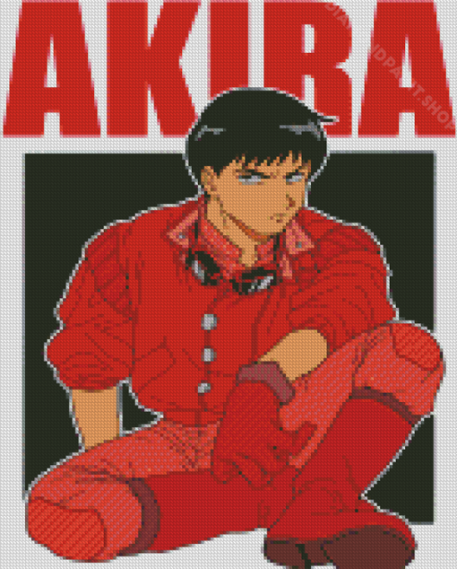 Shotaro Kaneda Akira Diamond Paintings