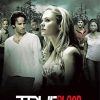 True Blood Movie Poster Diamond Paintings