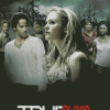 True Blood Movie Poster Diamond Paintings