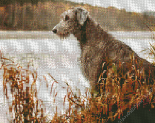 Wolfhound Dog Animal Diamond Paintings