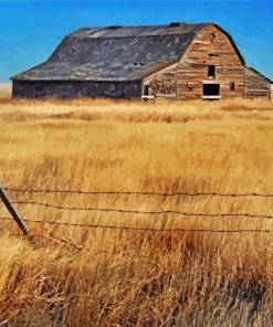 Aesthetic Prairie Landscape Diamond Paintings