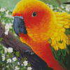 Beautiful Sun Conure Art Diamond Paintings