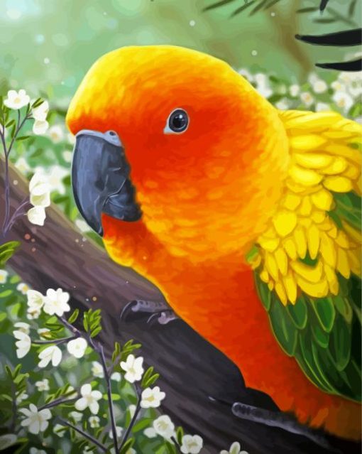 Beautiful Sun Conure Art Diamond Paintings