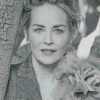 Black And White Sharon Stone Diamond Paintings