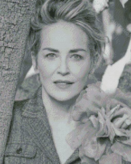 Black And White Sharon Stone Diamond Paintings