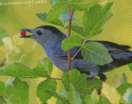 Catbird Eating Diamond Paintings