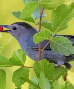 Catbird Eating Diamond Paintings