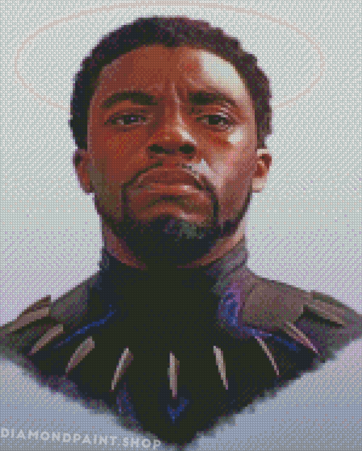 Chadwick Boseman Diamond Paintings