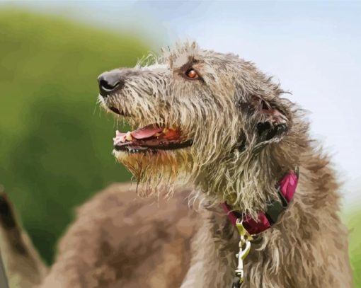 Close Up Irish Wolfhound Diamond Paintings