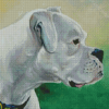 Cool White Boxer Diamond Paintings