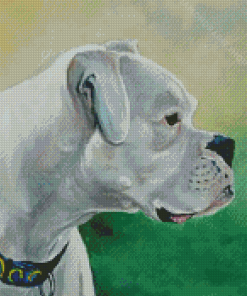 Cool White Boxer Diamond Paintings