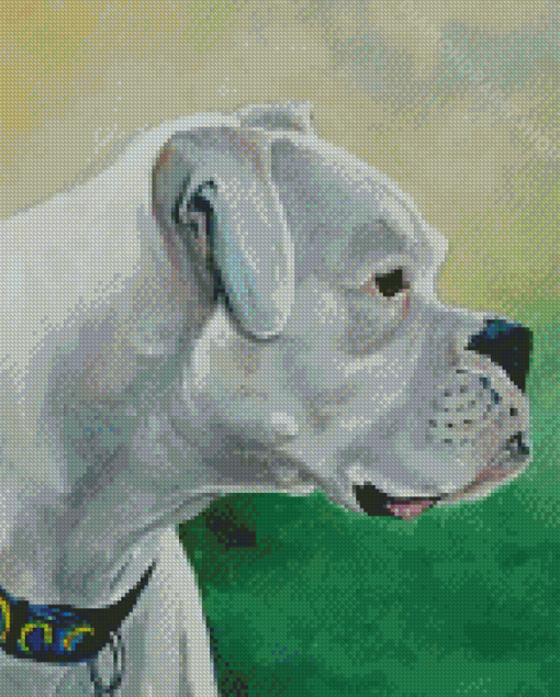 Cool White Boxer Diamond Paintings