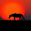 Wild Sunset Horse Diamond Paintings