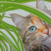 Adorable Plant Cat Diamond Paintings