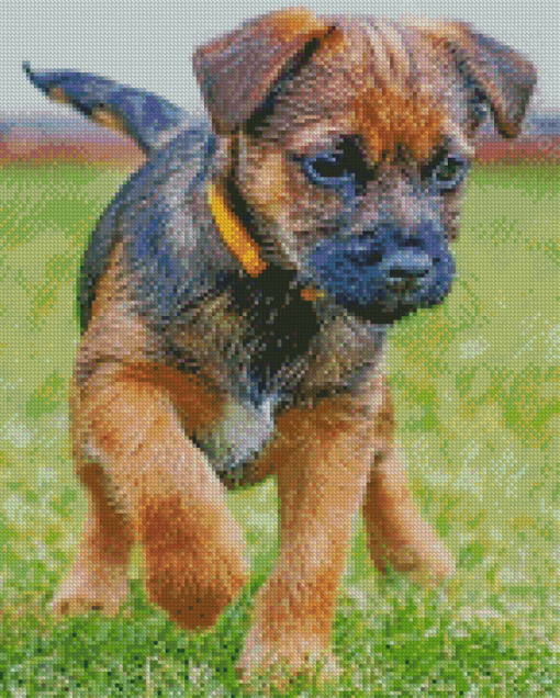 Border Terrier Puppy Dog Diamond Paintings