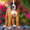 Boxer Puppy Diamond Paintings