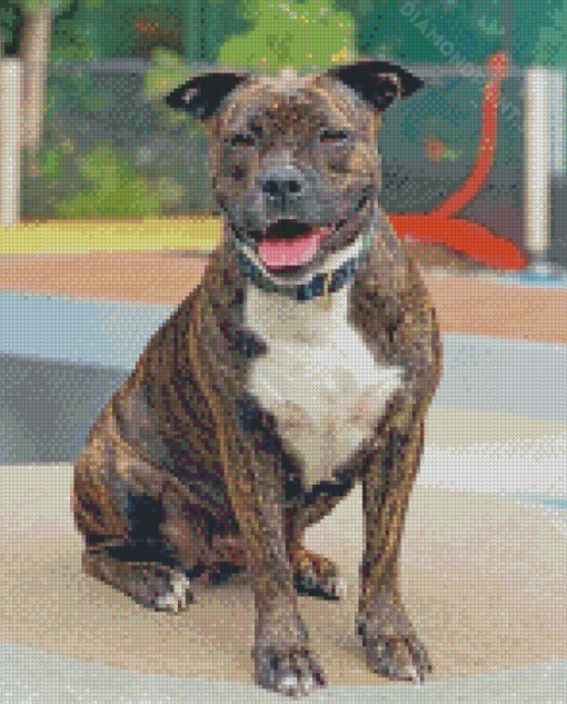 Brindle Pitbull Diamond Paintings