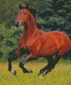 Brown Bay Horse Diamond Paintings