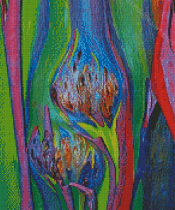 Close Up Rainbow Eucalyptus Tree Diamond Paintings