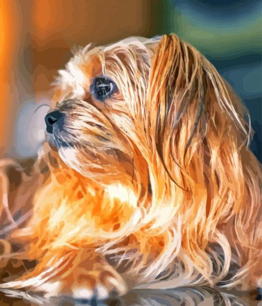 Close Up Shorkie Dog Diamond Paintings