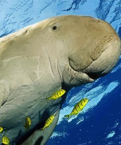 Dugong Animal Diamond Paintings