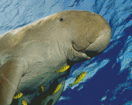 Dugong Animal Diamond Paintings