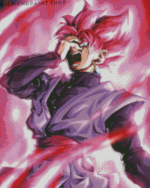 Goku Black Diamond Paintings