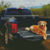 Golden Retriever Ride In Truck Diamond Paintings