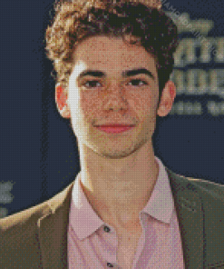 Handsome Cameron Boyce Diamond Paintings