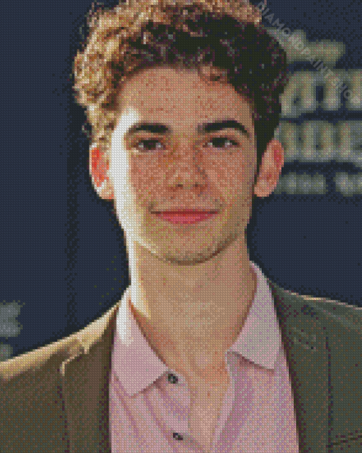 Handsome Cameron Boyce Diamond Paintings