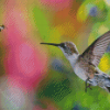 Hummingbird And Bee Diamond Paintings