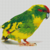 Kakariki Bird Diamond Paintings