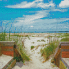 North Carolina Isle Beach Diamond Paintings