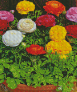 Ranunculus Flowers Diamond Paintings