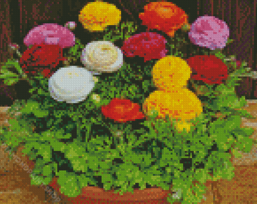 Ranunculus Flowers Diamond Paintings