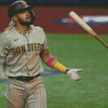 Tatis San Diego Padres Player Diamond Paintings