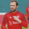 Aesthetic Juan Mata Diamond Paintings