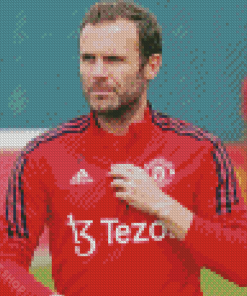 Aesthetic Juan Mata Diamond Paintings