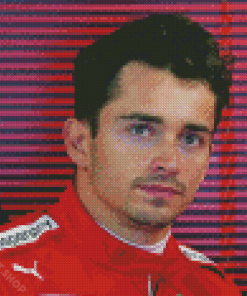 Aesthetic Charles Leclerc Diamond Paintings