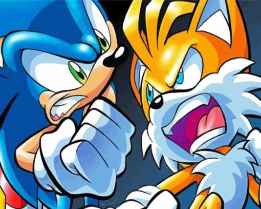 Angry Sonic And Tails Diamond Paintings