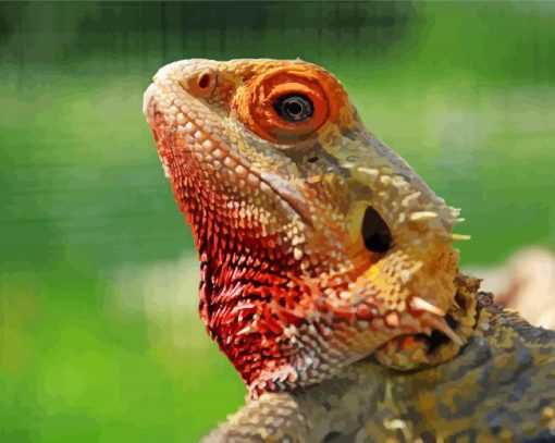 Colorful Bearded Dragon Diamond Piantings