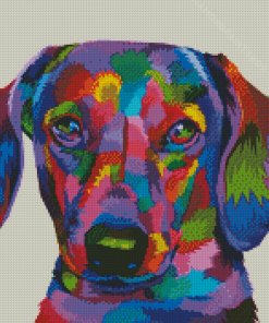 Colorful Dachshund Dog Diamond Paintings