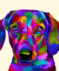 Colorful Dachshund Dog Diamond Paintings