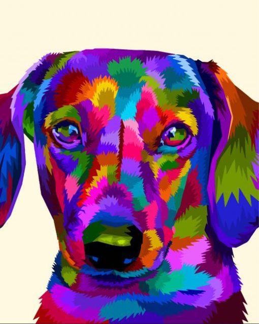 Colorful Dachshund Dog Diamond Paintings