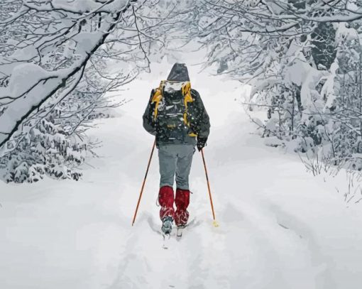 Cross Country Skiing Diamond Piantings