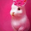 Cute Pink Rabbit Diamond Paintings